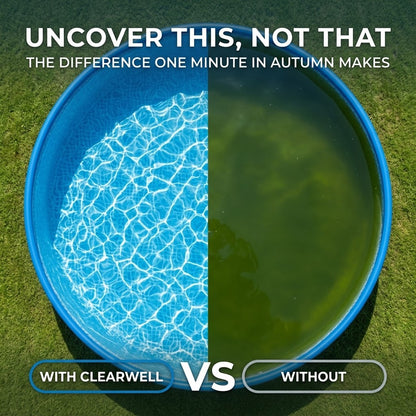 Winter Pure Capsule for pool
